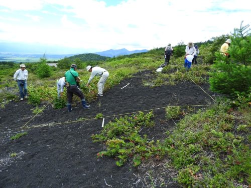 富士山南東斜面の自然環境調査