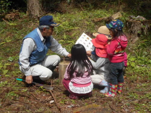 箱根外輪山三国山西麓里山にて環境学習ボランティア募集中