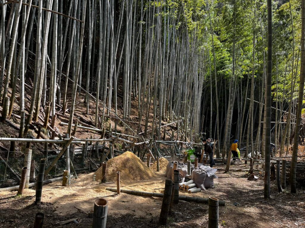 静岡放置竹林竹炭プロジェクトの画像１