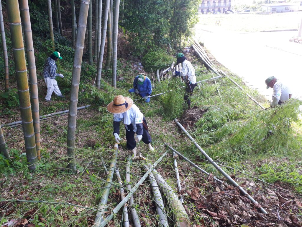 散策路やビオトープ、竹林を整備し、エコパの自然を守る小笠山森の会