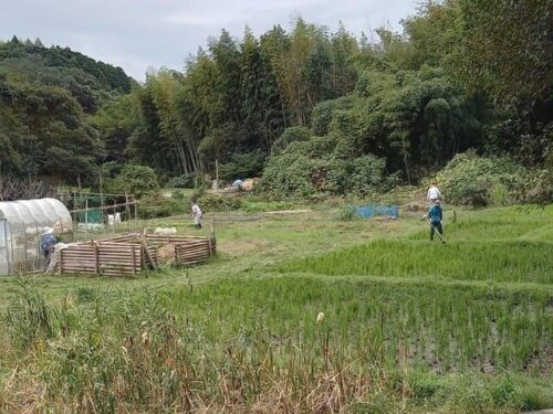 椎ノ木谷保全の会