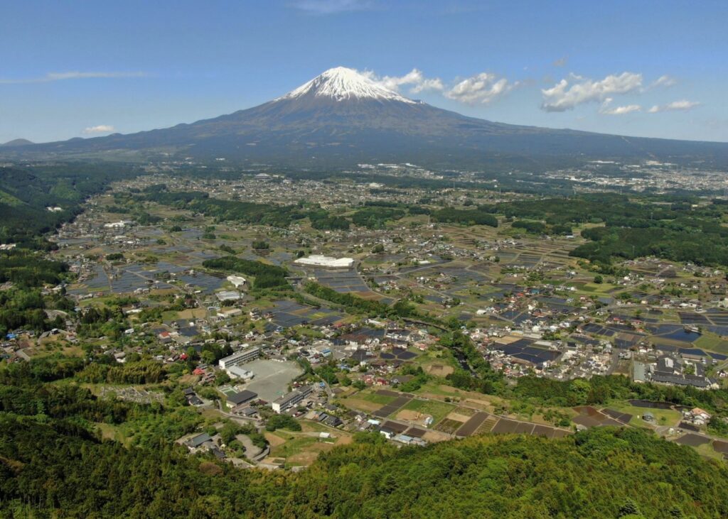 特定非営利活動法人YUNOどんぐりの会