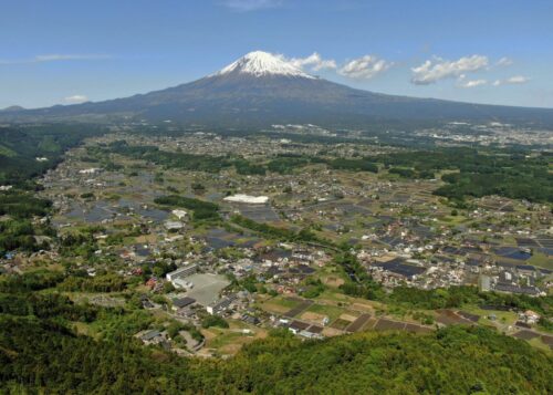特定非営利活動法人YUNOどんぐりの会