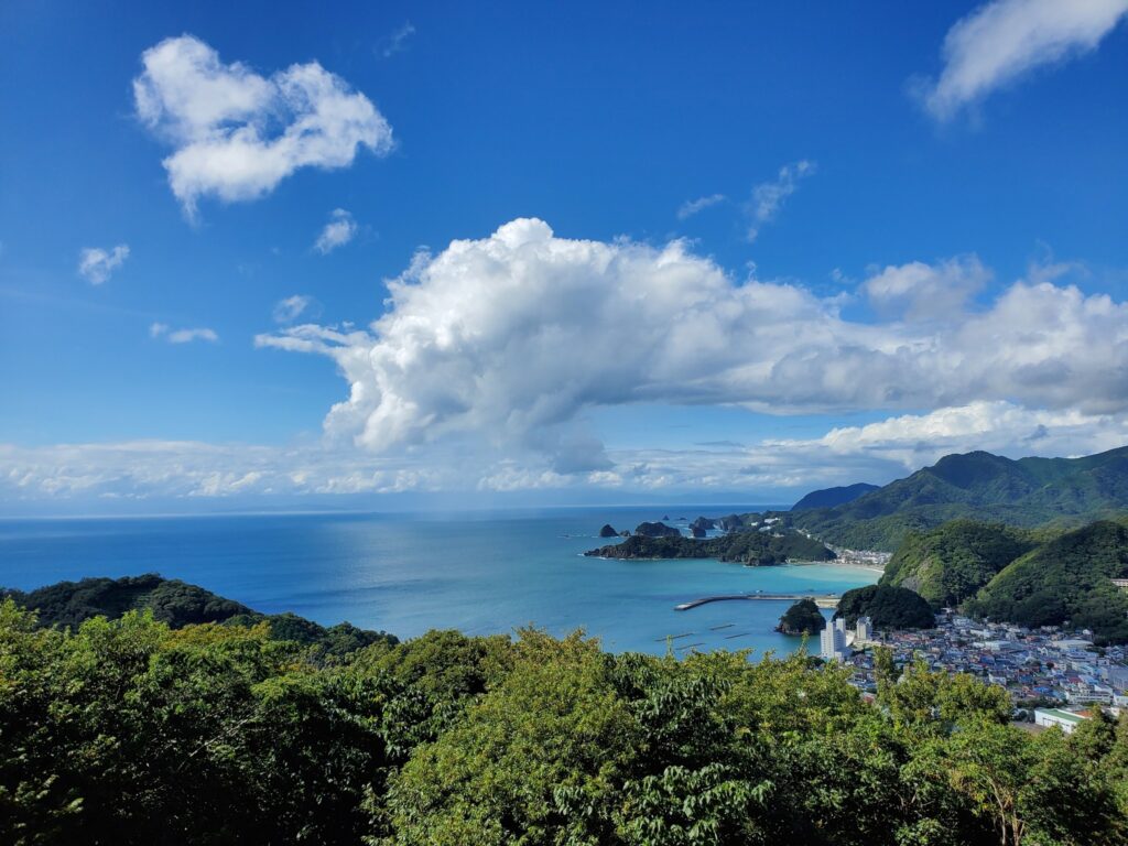 あなたも桑の葉茶づくりに参加しませんか?