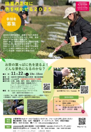 抜里の茶畑に 色を咲かせる２０２５