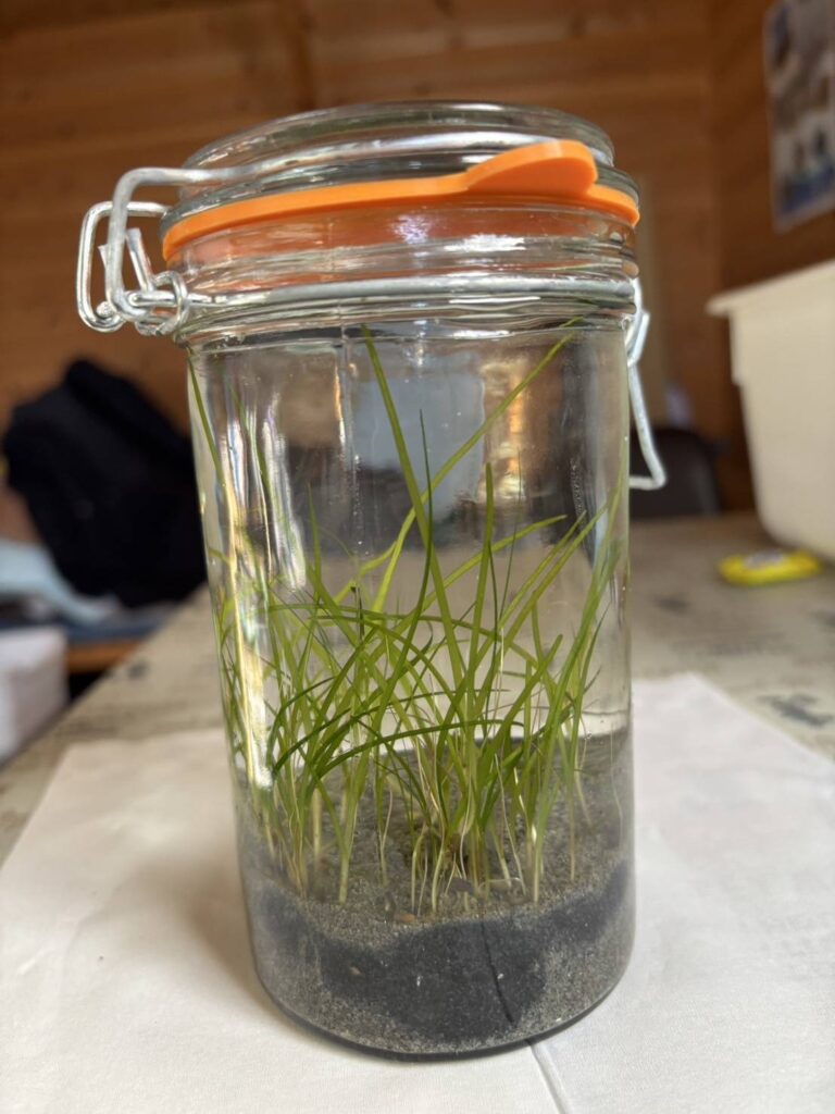 浜名湖ネイチャーズ