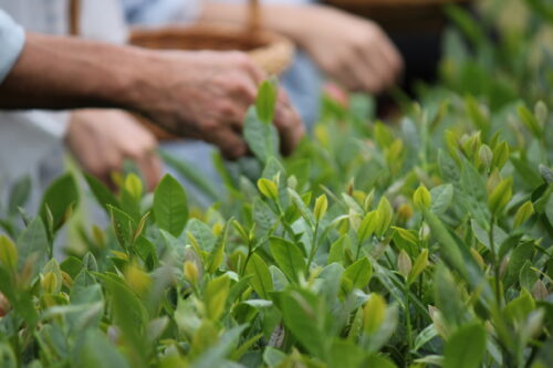 NPO法人OIKOS天竜