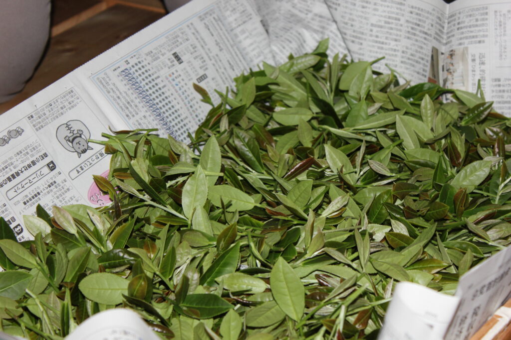 NPO法人OIKOS天竜