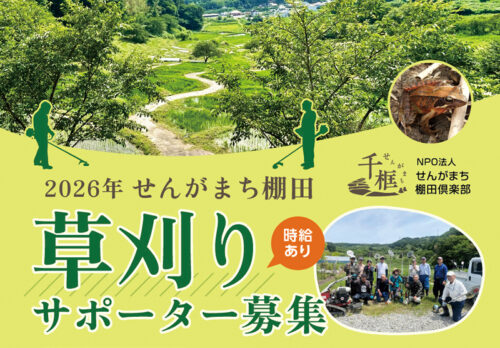 せんがまち棚田　草刈りサポーター2026募集（時給あり）