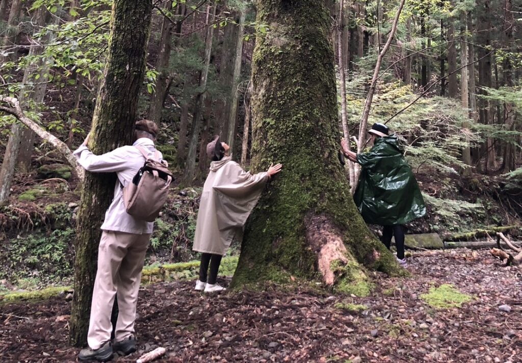 IYASHIの森林療法　奥大井から贈る　森と温泉と食で癒しのツアー