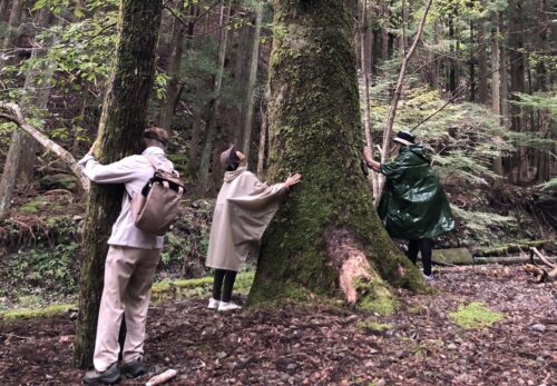 IYASHIの森林療法　奥大井から贈る　森と温泉と食で癒しのツアー
