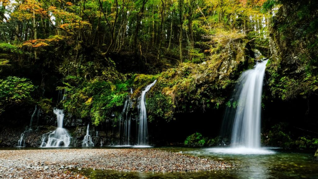 WENSリーダーズ2026 ワークショップ#2